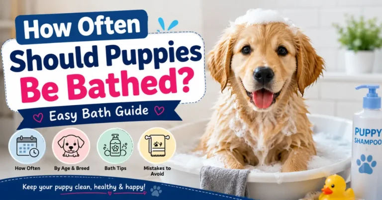 How Often Should Puppies Be Bathed? Easy Bath Guide how often should puppies be bathed easy bath guide